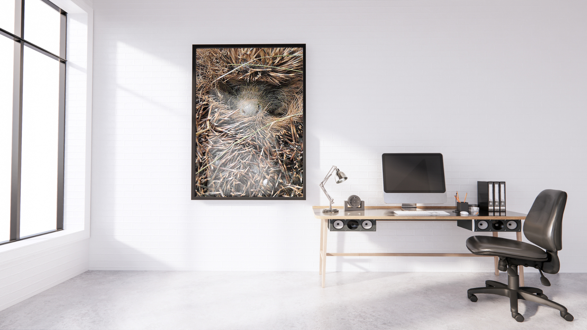 Echidna Ball original abstract contextualised office art modern decor photo print by Blair Montague Drake